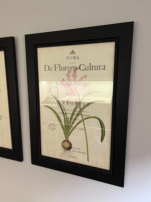 Set of 3 Framed Botanical Prints