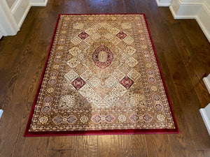 Area Rug Shop- Grace 4 x 6