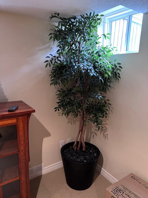 Faux Tree, Black Planter