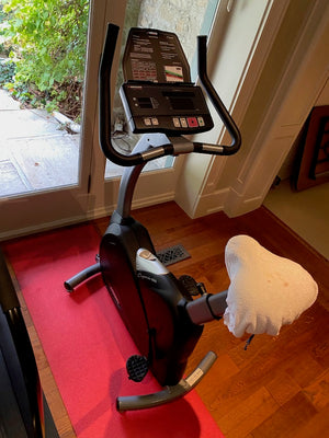 Bodyguard Fitness Organic VSG Exercise Bike
