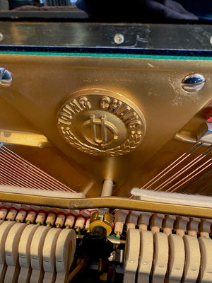 "Young Chang" U-116 Black Upright Piano