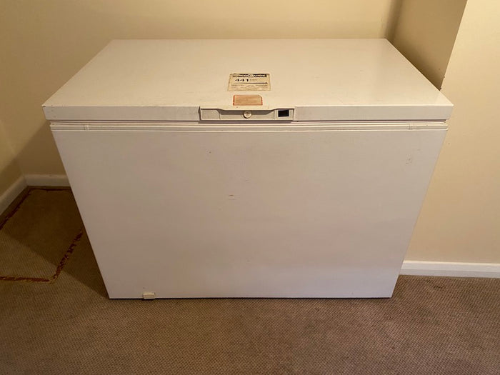 Chest Freezer