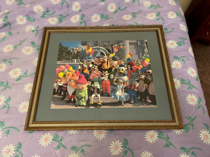 Vintage Disney World Framed Picture