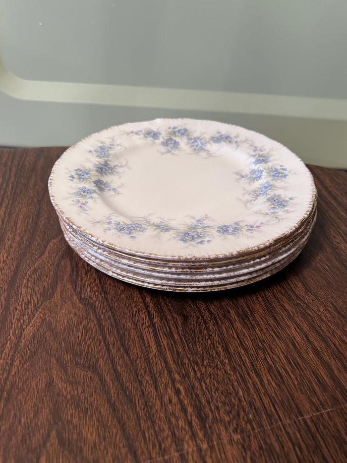 6 Paragon 'Remember Me' Plates