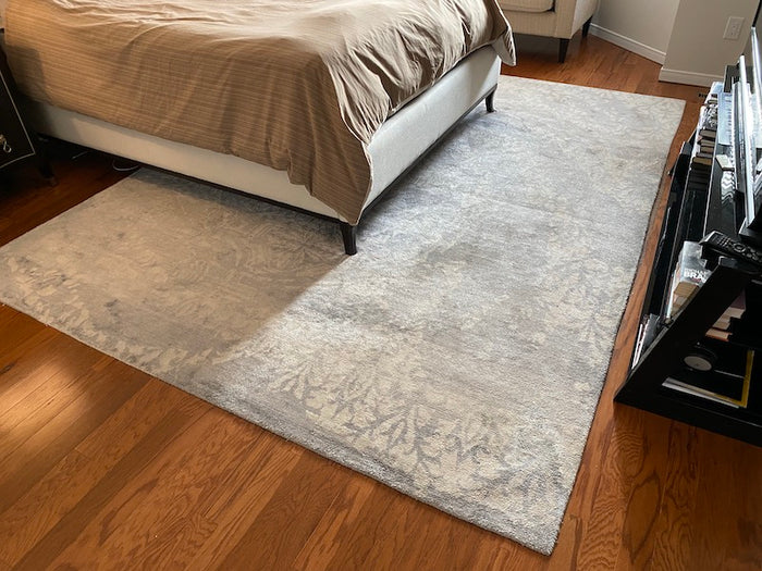 Light Blue & White Area Rug