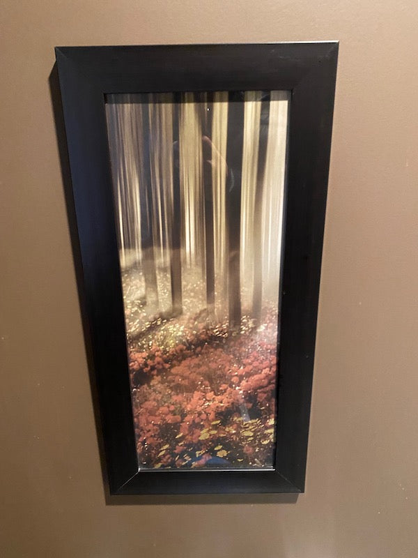 Trees in Forest Wall Art