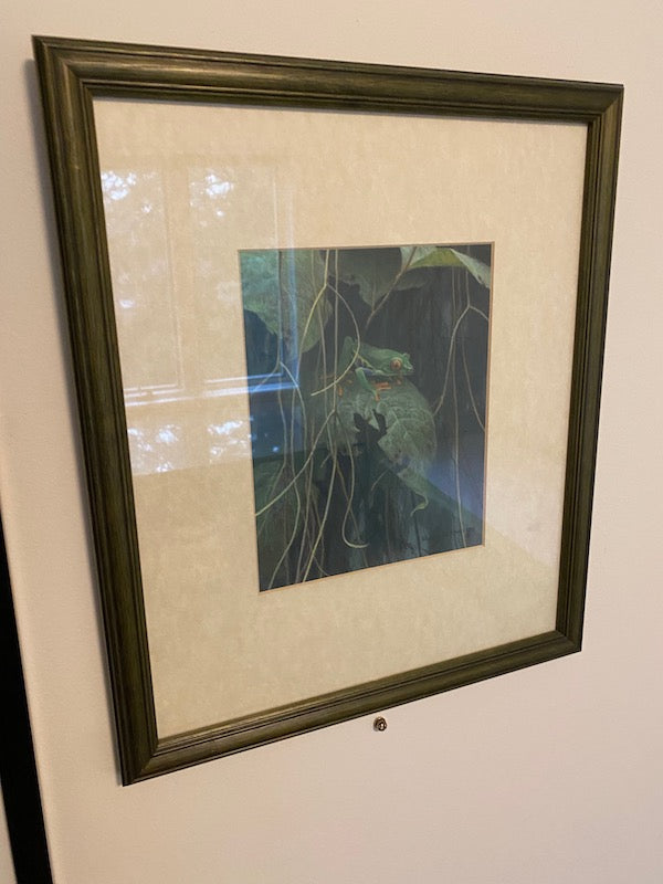 Print 'Red-Eyed Tree Frog' by Robert Bateman