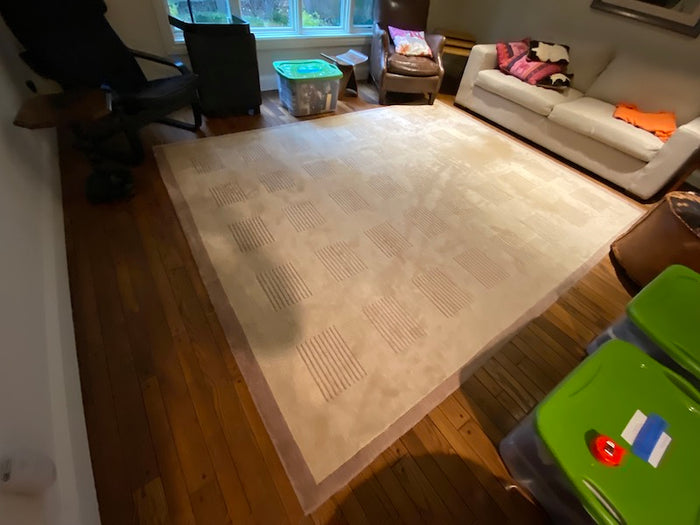 Beige Wool Area Rug- 8ft x 10ft