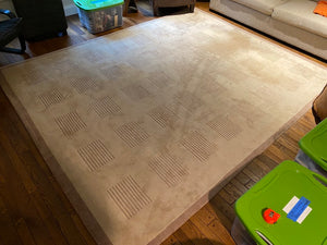 Beige Wool Area Rug- 8ft x 10ft