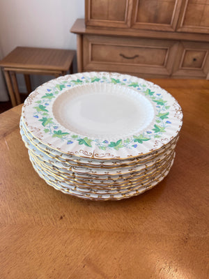 11 Royal Crown Derby Medway/Burford A814 Dinner Plates