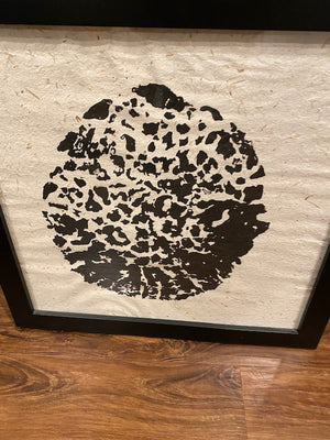 Elephant Foot Print