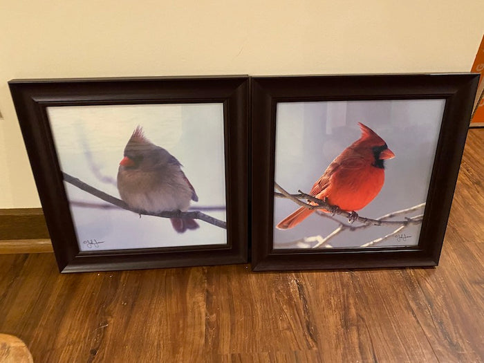 Pair of Cardinal Photographs by John Jones