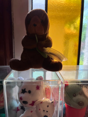 Beanie Babies in Display Cases Lot (RARE)