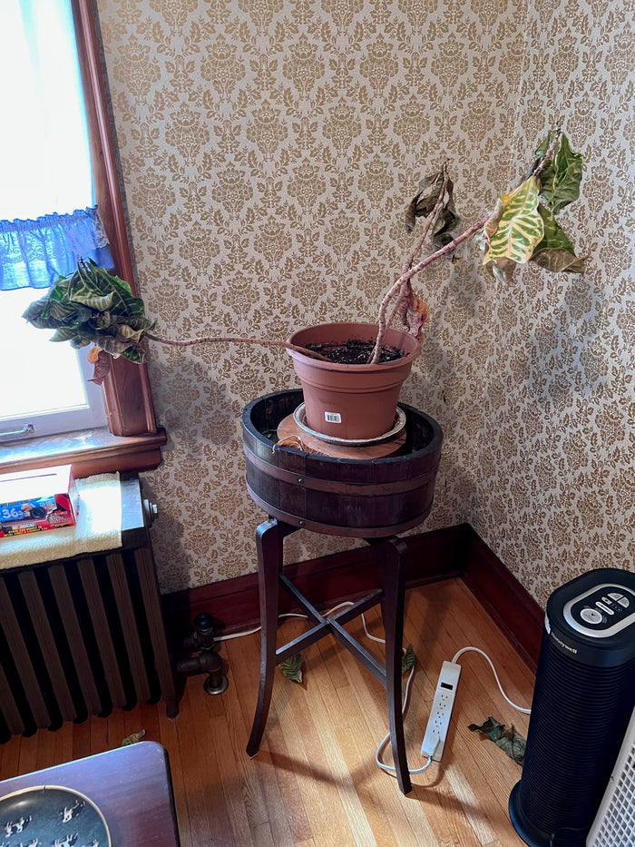Plant Stand