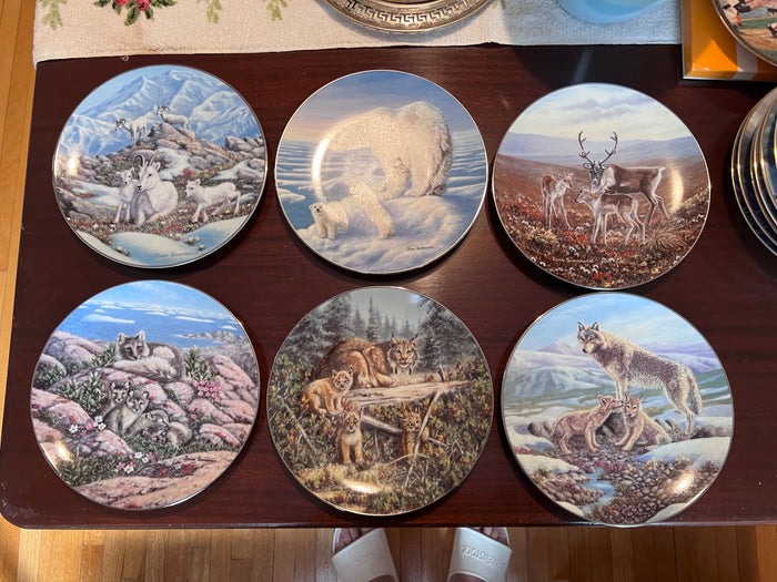 Treasures of the Arctic Collection by Joan Sharrock Collector Plate Lot