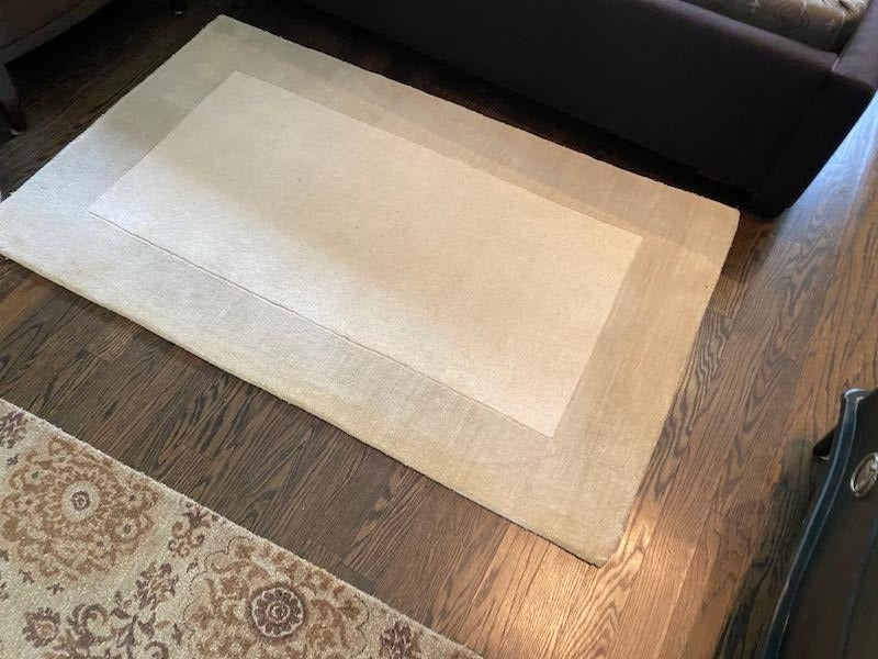 Bartow Wool Area Rug in Ivory