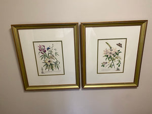 2 Botanical Prints