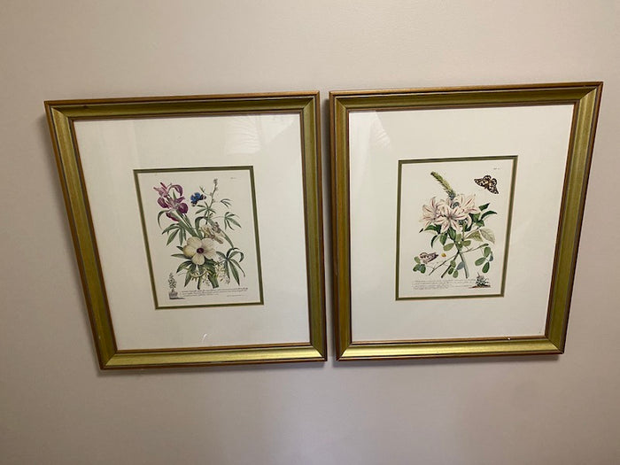 2 Botanical Prints