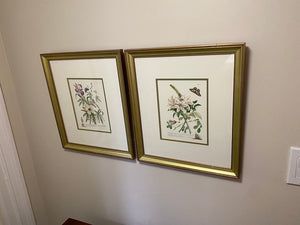 2 Botanical Prints