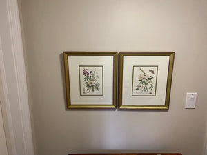 2 Botanical Prints