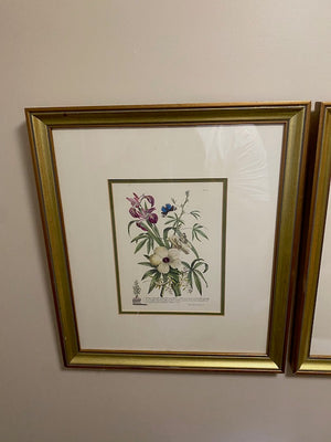 2 Botanical Prints