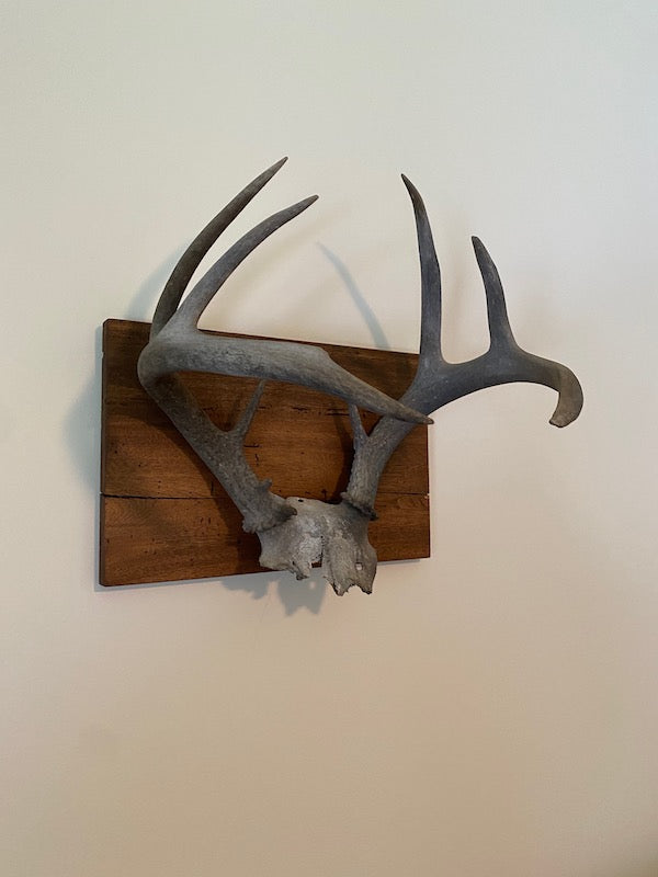 Antlers Wall Decor