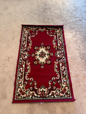 Area Rug # 9- 25" x 44"