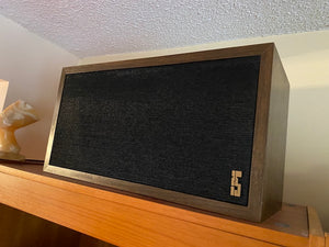 Vintage EPI Epicure Model 100V Speakers