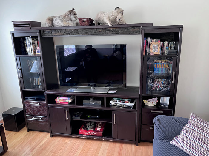 Entertainment Unit (*condition noted)