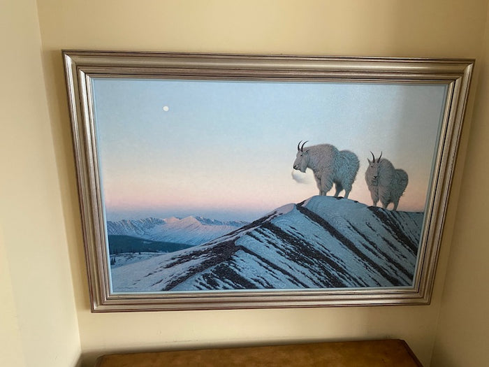 Framed & Signed Print by Claudio D'Angelo- Mountain Goats