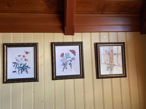 Set of 3 Butterfly Prints from The Uttermost Company