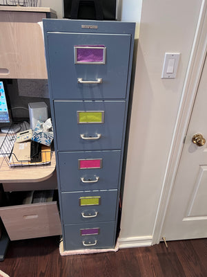 The Steel Equipment Co 5 Drawer Filing Cabinet
