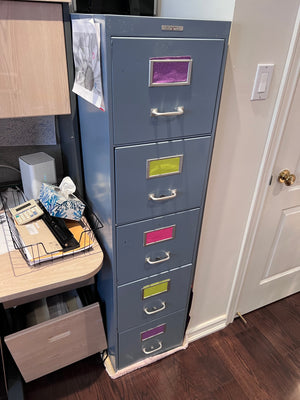 The Steel Equipment Co 5 Drawer Filing Cabinet